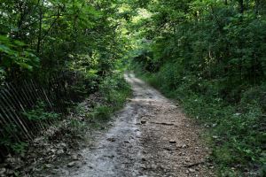 Path By the Back Straight at Road&nbsp;America