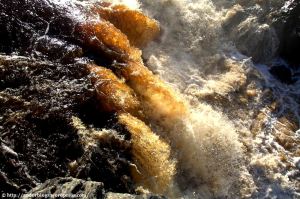 Rootbeer Falls at Jay Cooke State Park MN – by&nbsp;Andor