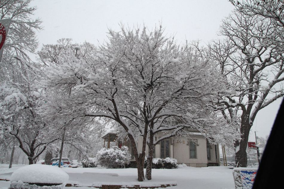 First Snow © Andor (2)