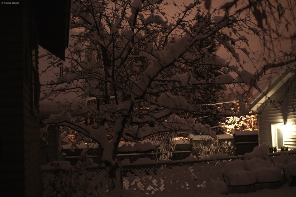 The Apple Tree Topped With Snow  © Andor