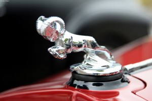 Back to the 50’s&nbsp;(21)