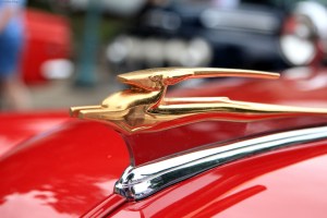 Back to the 50’s&nbsp;(40)