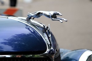 Back to the 50’s&nbsp;(6)