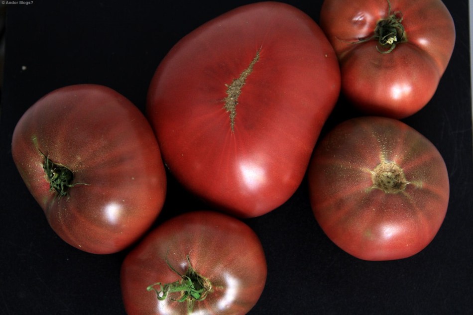 A Treasured Heirloom © Andor (1)