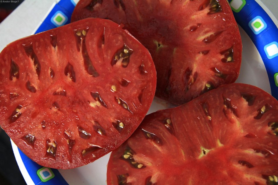 A Treasured Heirloom © Andor (2)