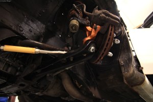 Around the Shop © Andor&nbsp;(11)