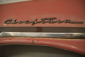 Around the Shop © Andor&nbsp;(3)