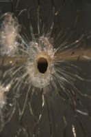 Around the Shop © Andor&nbsp;(5)