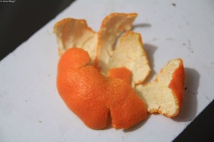 First Satsuma Mandarin of 2013 © Andor&nbsp;(5)