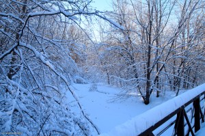 Looking Upstream ©&nbsp;Andor