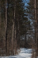 Camping in the Snow © Andor&nbsp;(11)