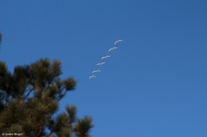 Camping in the Snow © Andor&nbsp;(2)