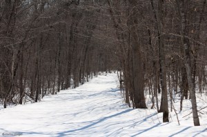 Camping in the Snow © Andor&nbsp;(5)