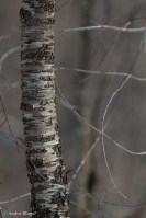 Camping in the Snow © Andor&nbsp;(6)