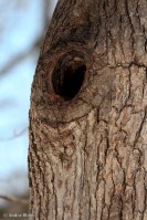 Camping in the Snow © Andor&nbsp;(7)