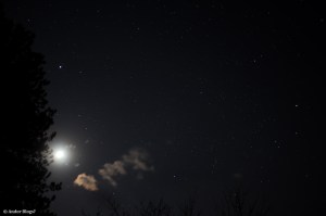 The Night Sky © Andor&nbsp;(2)
