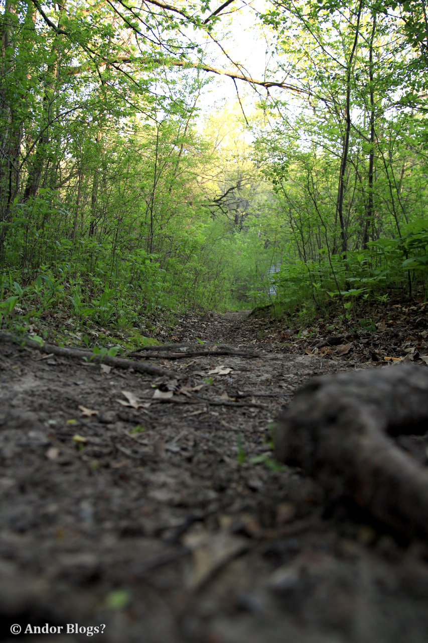 A Walk in Locke Park © Andor (1) | Back for More...