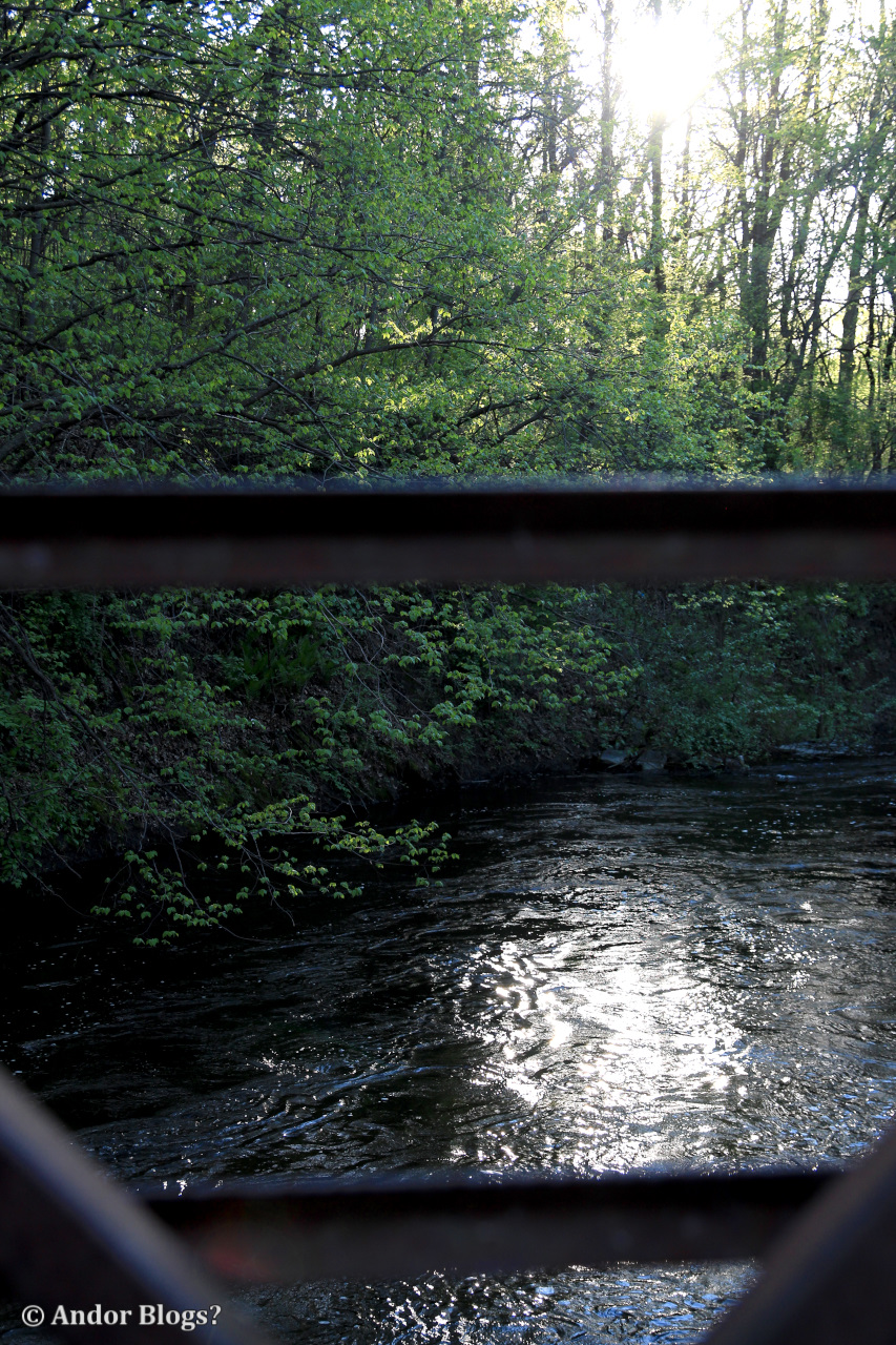 A Walk in Locke Park | Back for More...