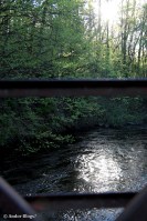 A Walk in Locke Park © Andor&nbsp;(2)