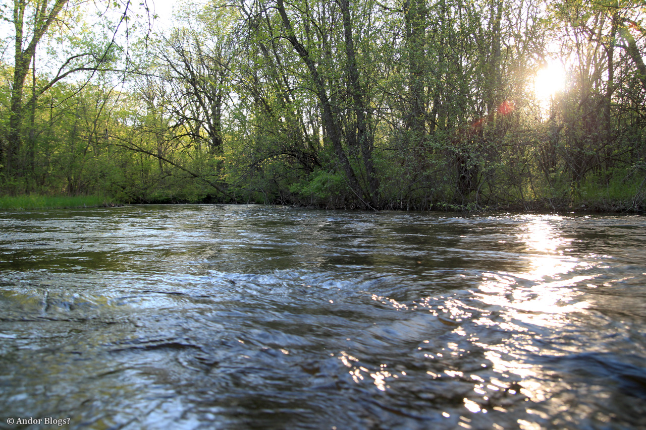 A Walk in Locke Park | Back for More...