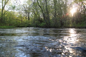 A Walk in Locke Park © Andor&nbsp;(4)