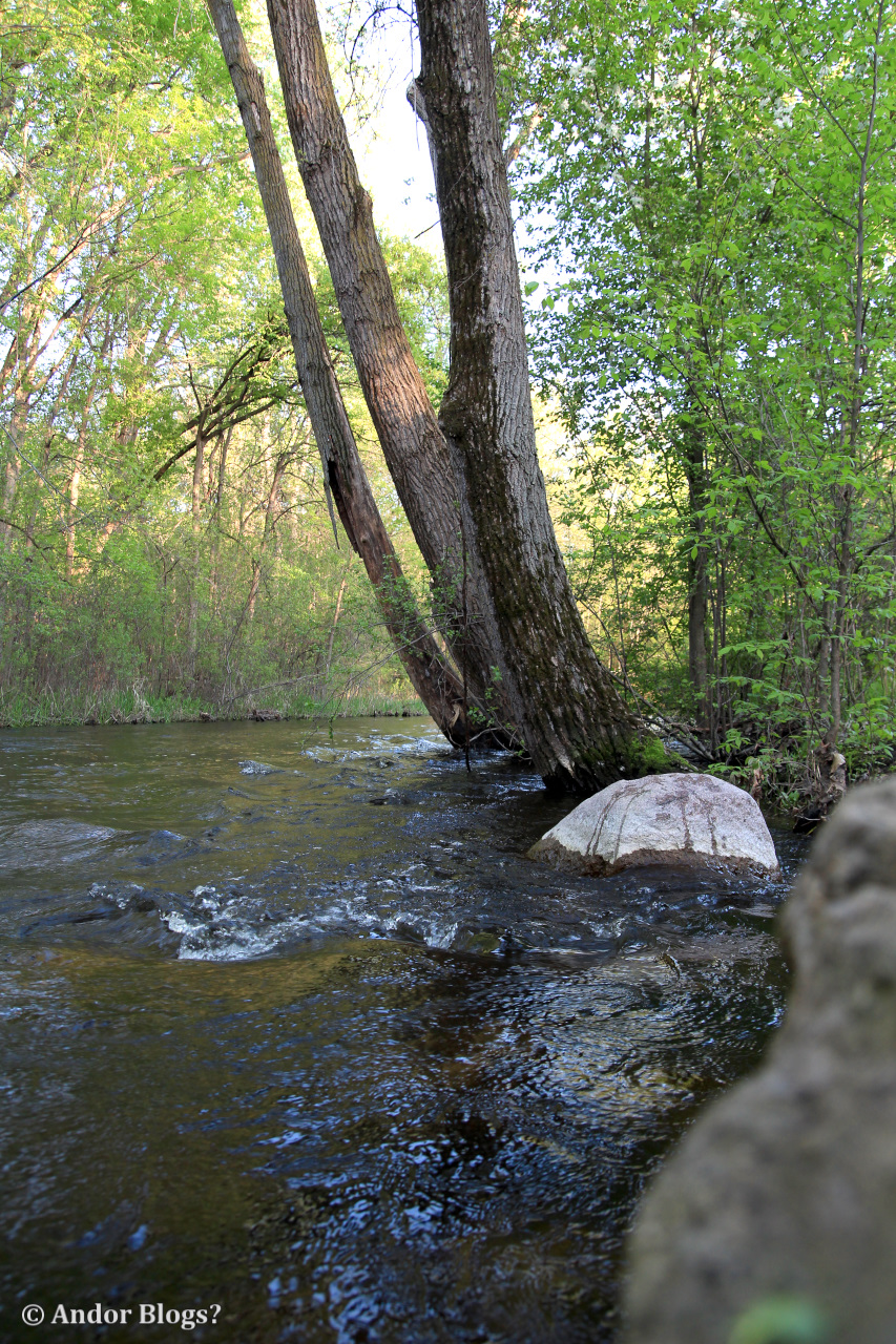 A Walk in Locke Park | Back for More...
