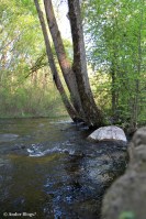 A Walk in Locke Park © Andor&nbsp;(5)