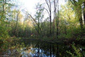 A Walk in Locke Park © Andor&nbsp;(7)