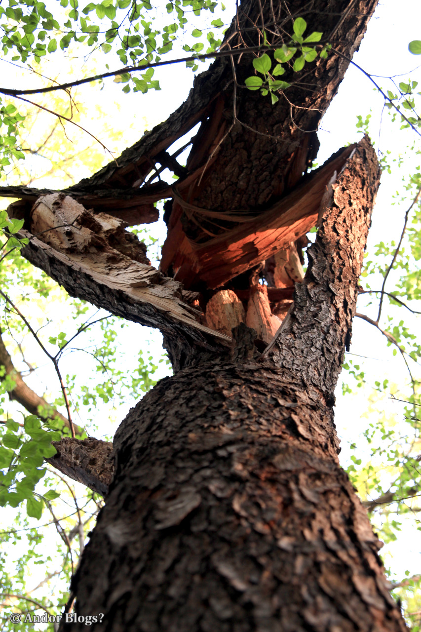 A Walk in Locke Park © Andor (8) | Back for More...