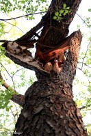 A Walk in Locke Park © Andor&nbsp;(8)