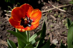 Glorious Color © Andor&nbsp;(0)