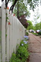 On and Around Nicollet Island © Andor&nbsp;(11)