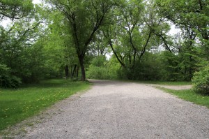 On and Around Nicollet Island © Andor&nbsp;(13)