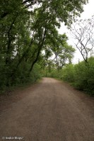 On and Around Nicollet Island © Andor&nbsp;(16)