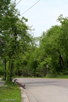 On and Around Nicollet Island © Andor&nbsp;(2)