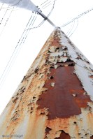 On and Around Nicollet Island © Andor&nbsp;(23)