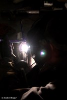 Practice with New Toys © Andor&nbsp;(3)