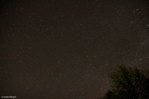 Shooting the Stars © Andor&nbsp;(5)