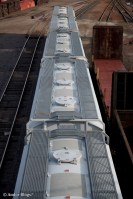 Trains in the City&nbsp;(10)