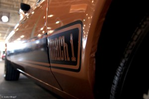 Back to the Fifties 2014 © Andor&nbsp;(28)