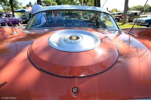 Back to the Fifties 2014 © Andor&nbsp;(39)