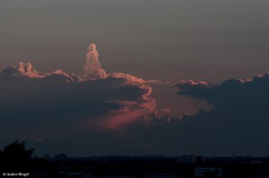 Mosquito Infested Hell, With a Beautiful View © Andor&nbsp;(3)