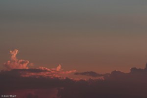 Mosquito Infested Hell, With a Beautiful View © Andor&nbsp;(5)