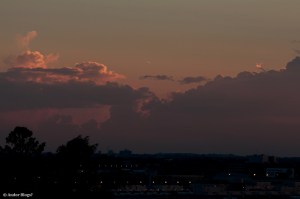 Mosquito Infested Hell, With a Beautiful View © Andor&nbsp;(6)