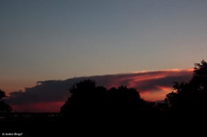 Mosquito Infested Hell, With a Beautiful View © Andor&nbsp;(8)