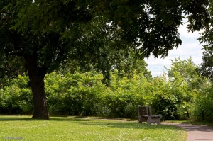 Strolling the Bluff © Andor&nbsp;(4)