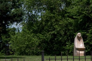 Strolling the Bluff © Andor&nbsp;(8)