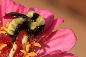 Focus on the Little Things © Andor&nbsp;(4)