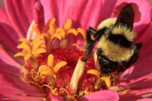 Focus on the Little Things © Andor&nbsp;(5)