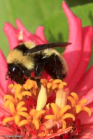 Focus on the Little Things © Andor&nbsp;(6)